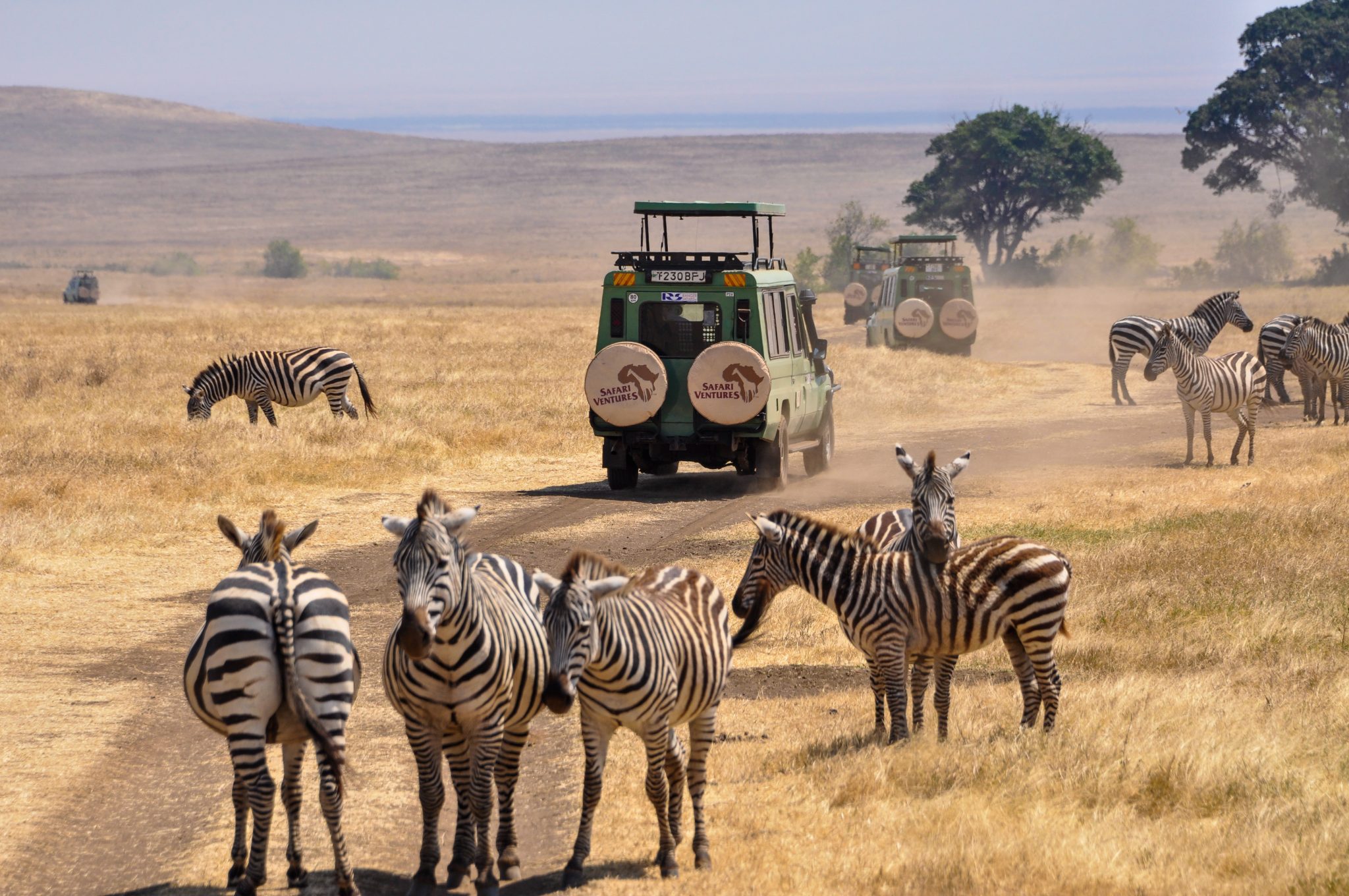 Tanzania Budget Camping Safari: Best Routes and Destinations